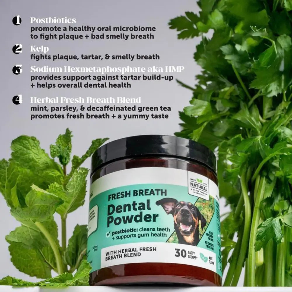 PawMint™ | Fresh Breath Dental Powder for Dogs