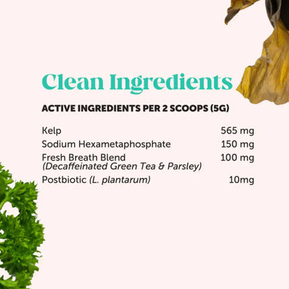 PawMint™ | Fresh Breath Dental Powder for Dogs