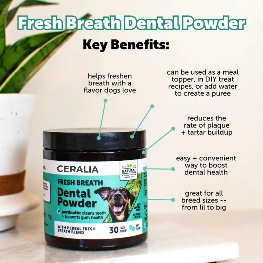 PawMint™ | Fresh Breath Dental Powder for Dogs