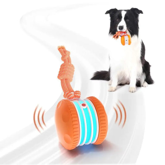 PawJoy™ | Interactive Motion Dog Ball