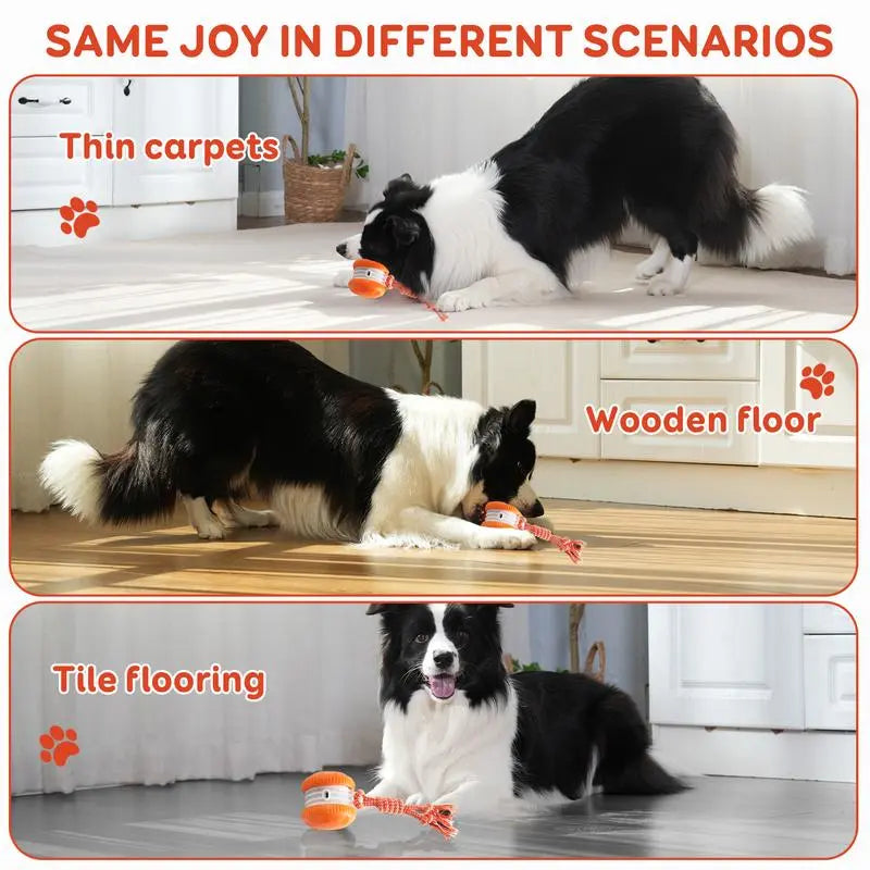 PawJoy™ | Interactive Motion Dog Ball
