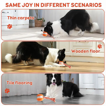 PawJoy™ | Interactive Motion Dog Ball