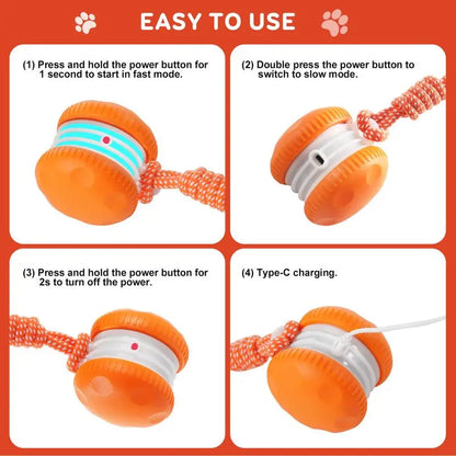 PawJoy™ | Interactive Motion Dog Ball