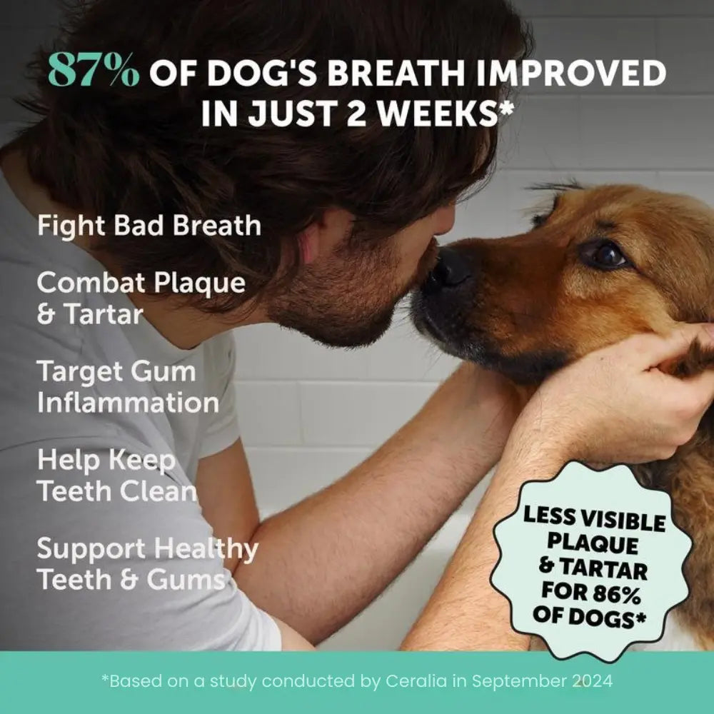 PawMint™ | Fresh Breath Dental Powder for Dogs