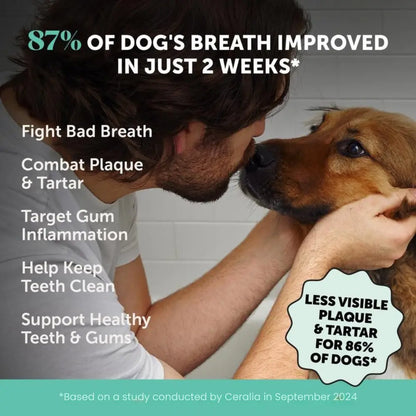 PawMint™ | Fresh Breath Dental Powder for Dogs