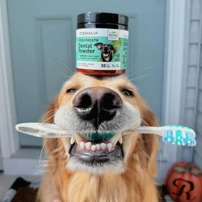 PawMint™ | Fresh Breath Dental Powder for Dogs