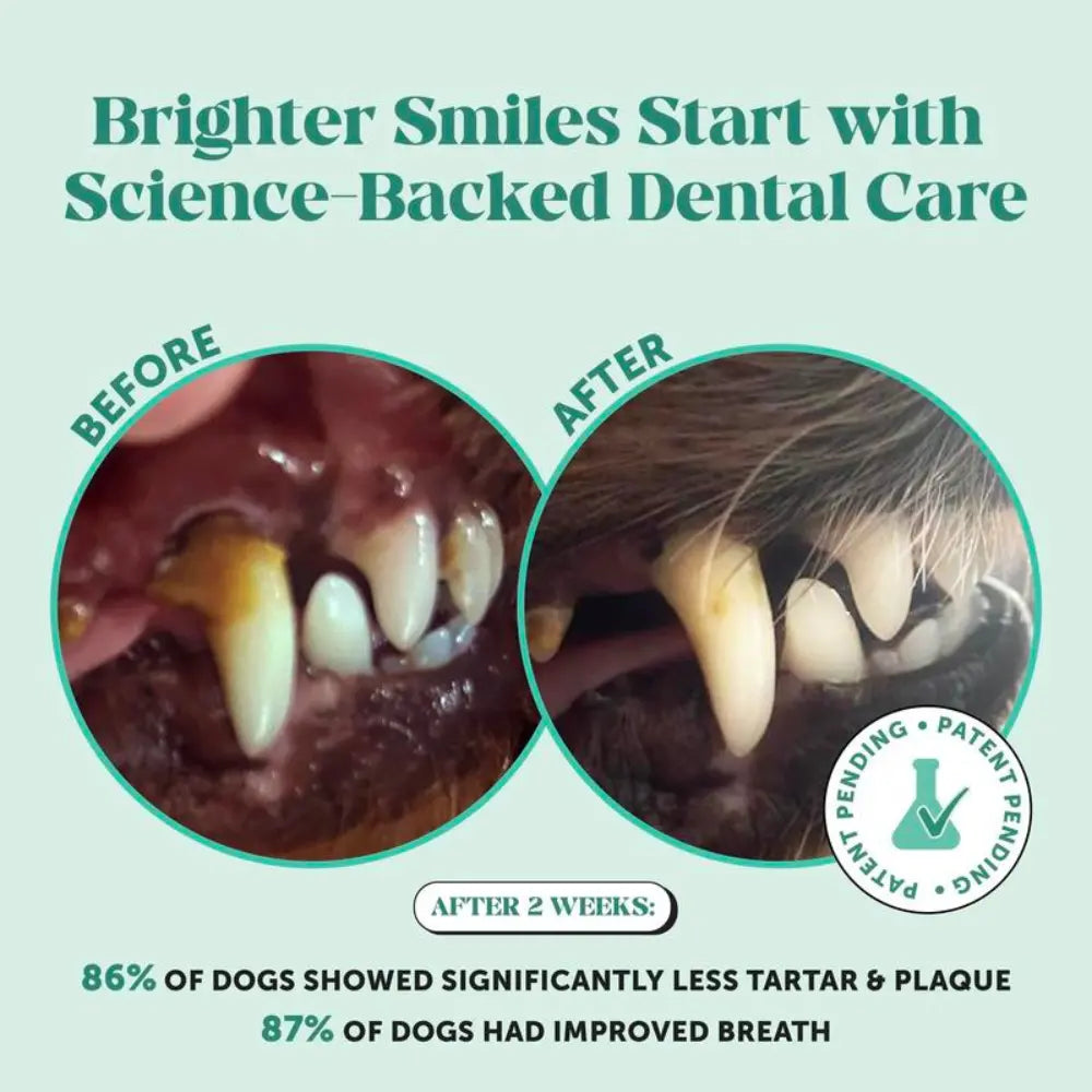 PawMint™ | Fresh Breath Dental Powder for Dogs