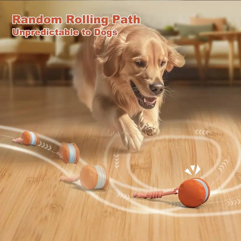 PawJoy™ | Interactive Motion Dog Ball