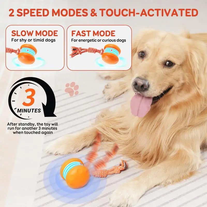 PawJoy™ | Interactive Motion Dog Ball