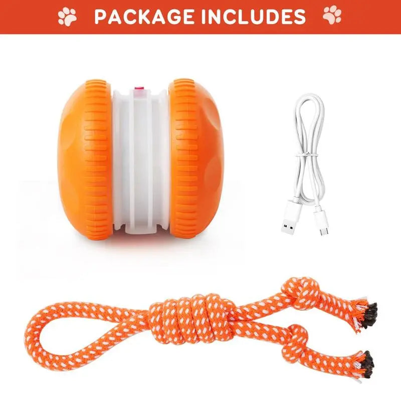 PawJoy™ | Interactive Motion Dog Ball